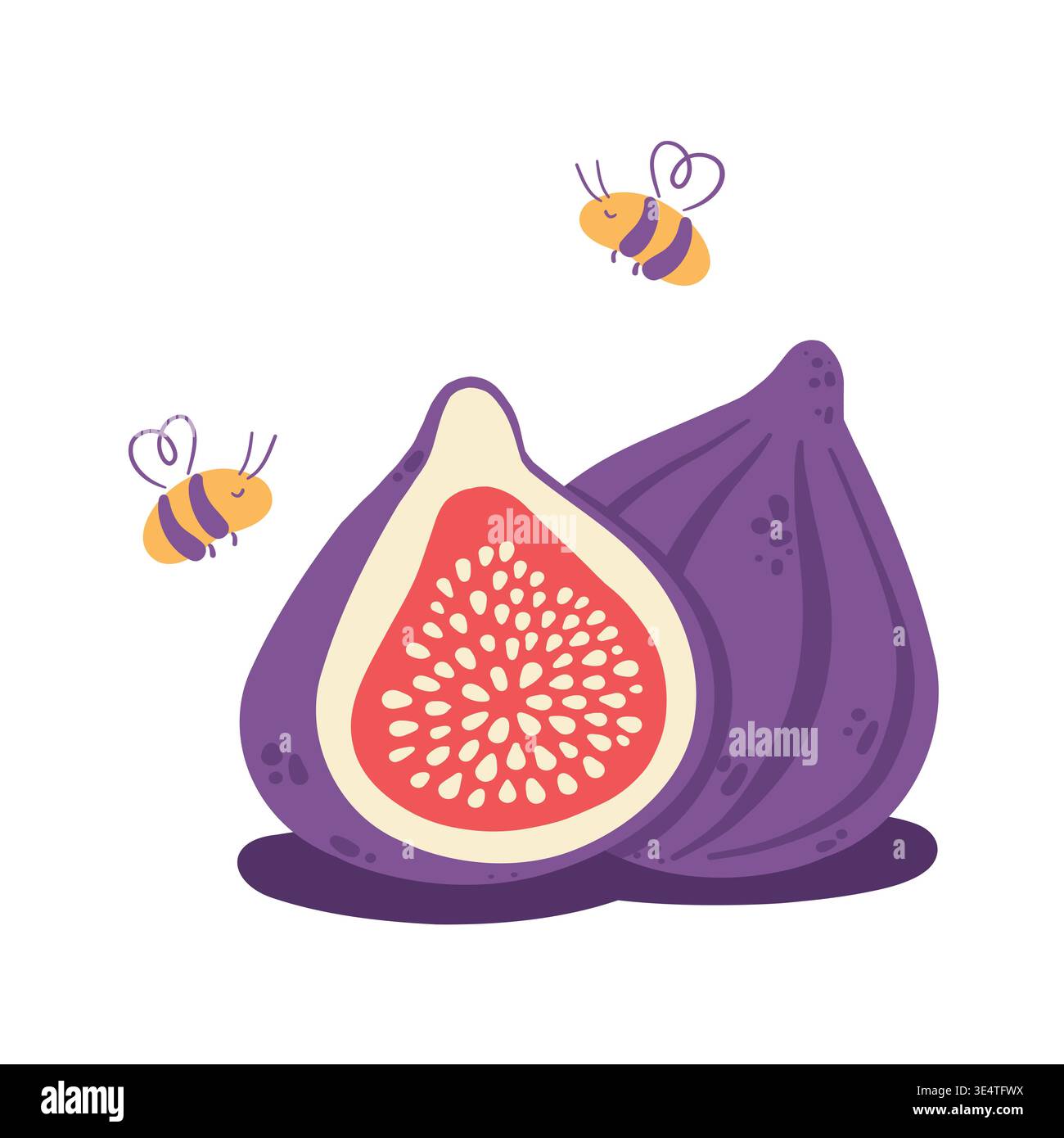 Fig fruit with bees flat vector, whole and cut fig composition isolated on white Stock Vector