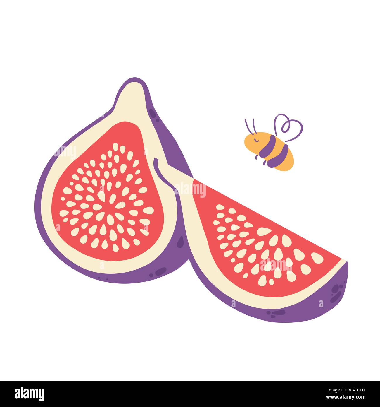 Fig fruit with bees flat vector, Sliced fig and cut fig composition isolated on white Stock Vector