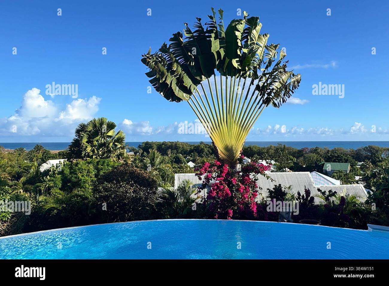 Villa Ravinala 29.03.2026, xsvx, Reise Urlaub, Guadeloupe emwir, Symbolfoto ...