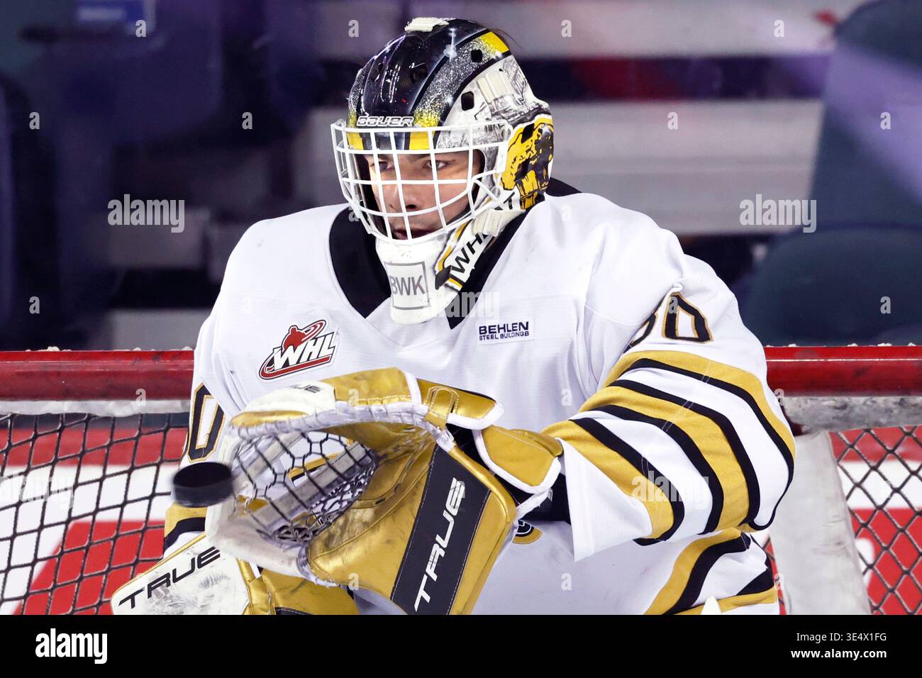 Brandon Wheat Kings goalie Filip Ruzicka, from Czechia, during WHL ...