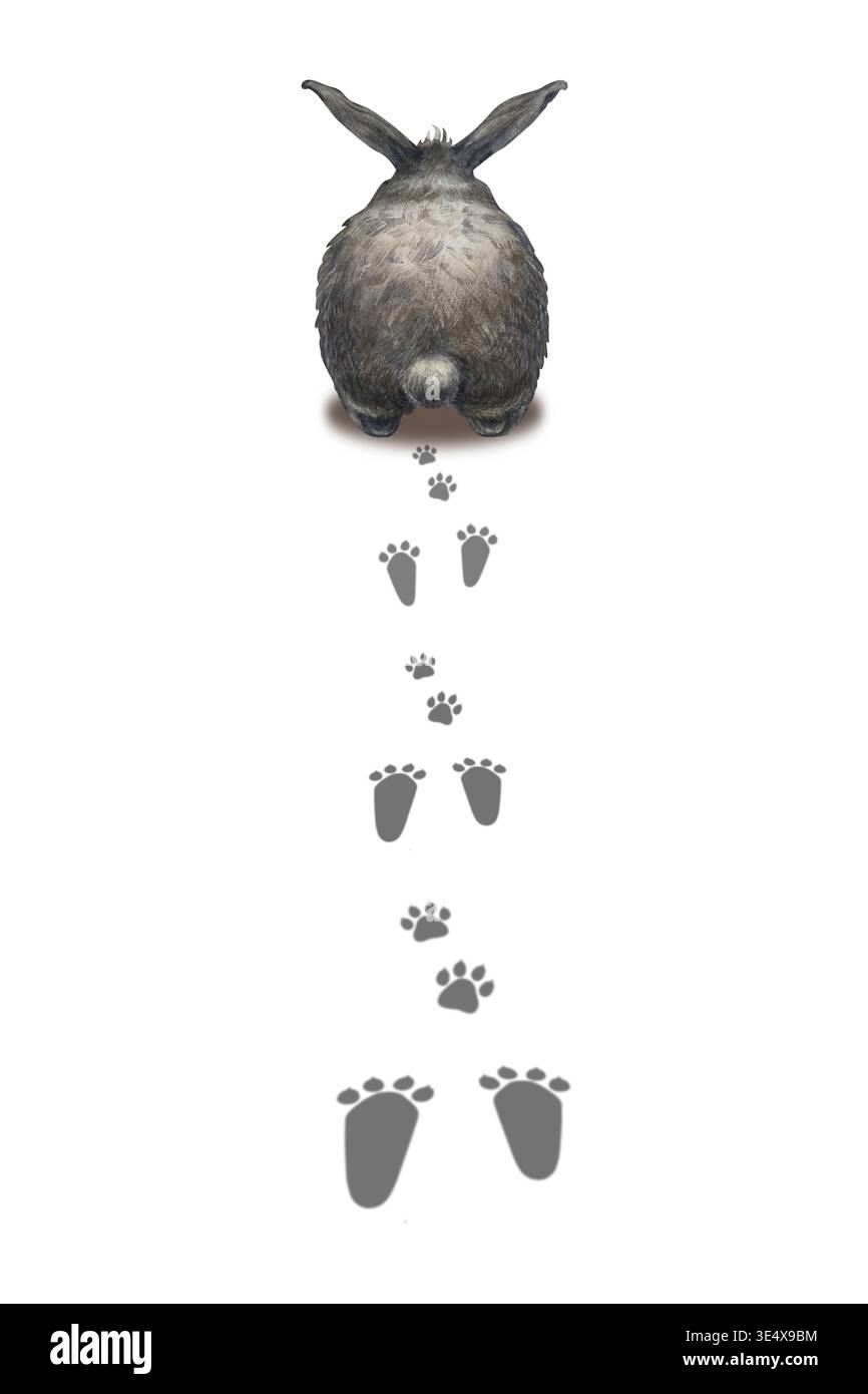 Watercolor Easter illustration of a realistic rabbit from behind with a ...