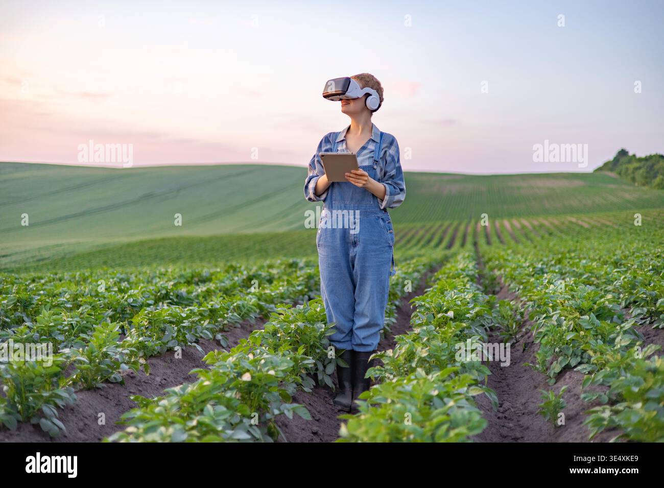 Farmer Using VR in Field Stock Photo
