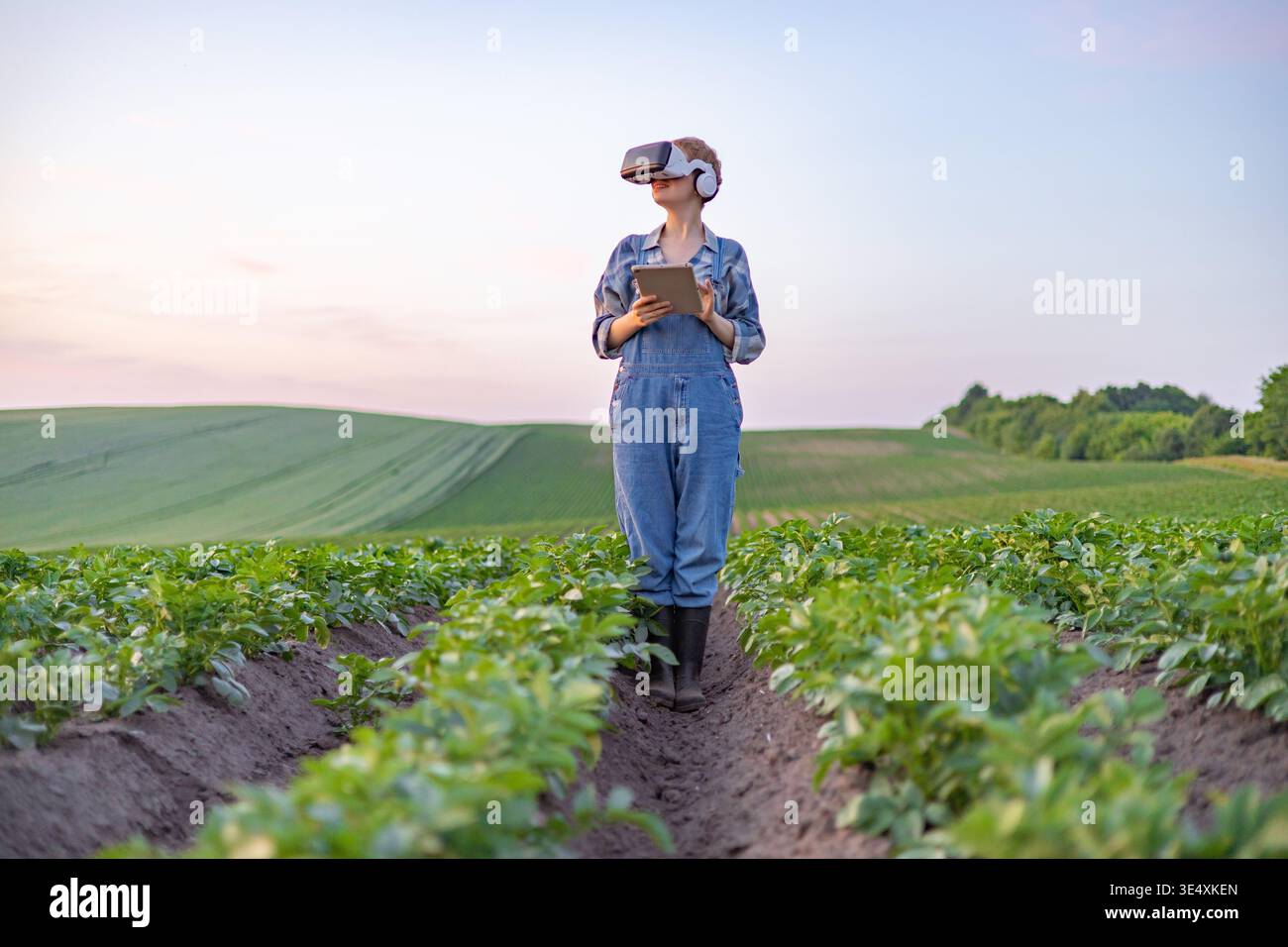 Farmer Using VR in Field Stock Photo