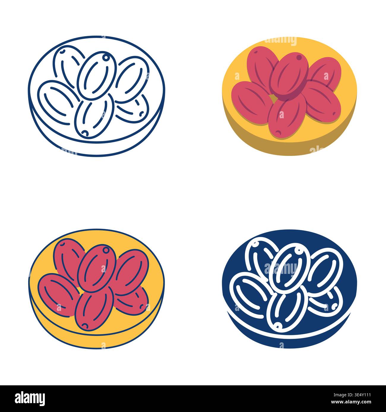 Dried senjed fruit icon set. Oleaster, fruit of the lotus tree symbol. Vector illustration Stock Vector