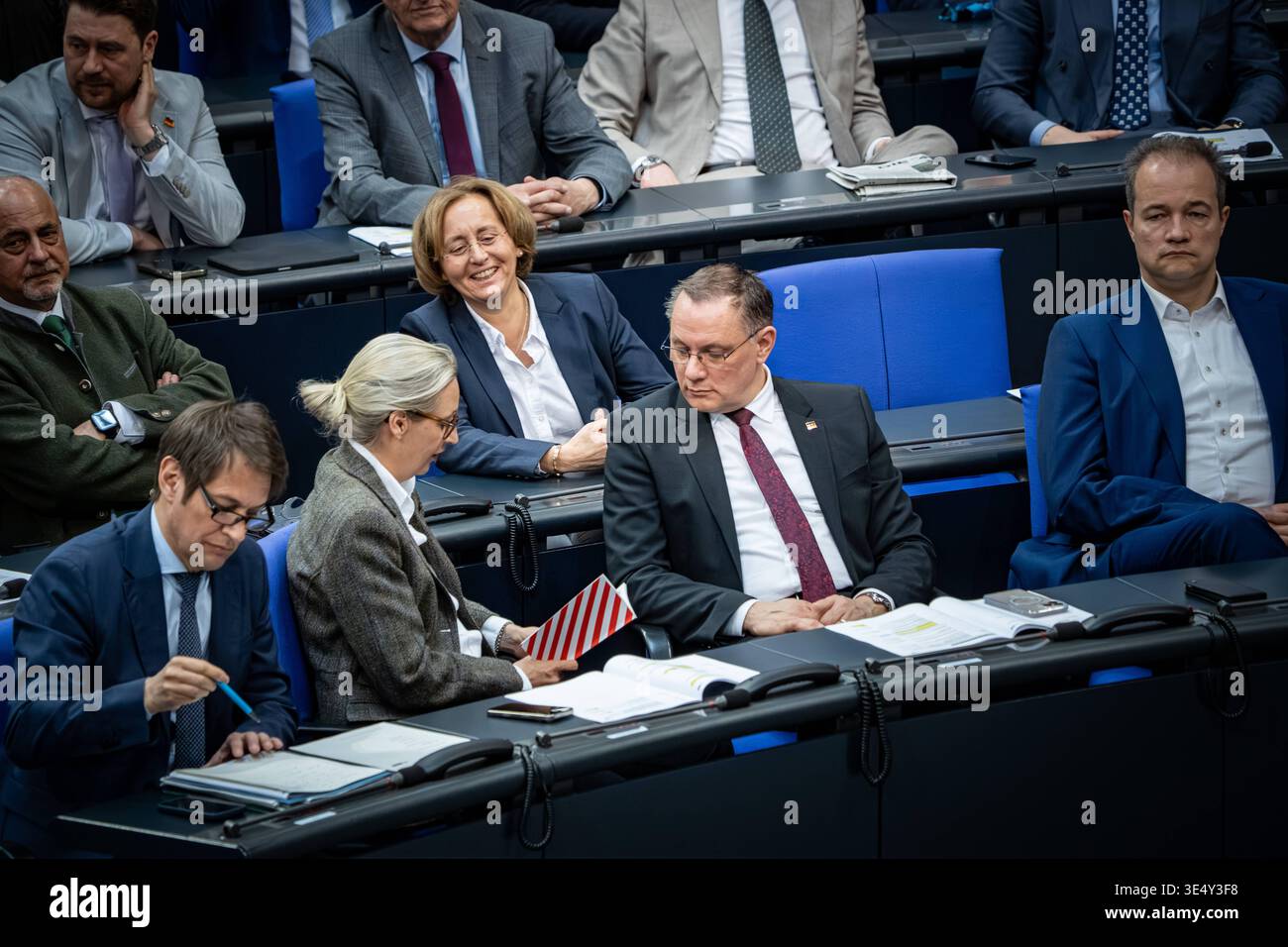 AfD-Abgeordnete Alice Weidel, Beatrix von Storch, Tino Chrupalla von ...