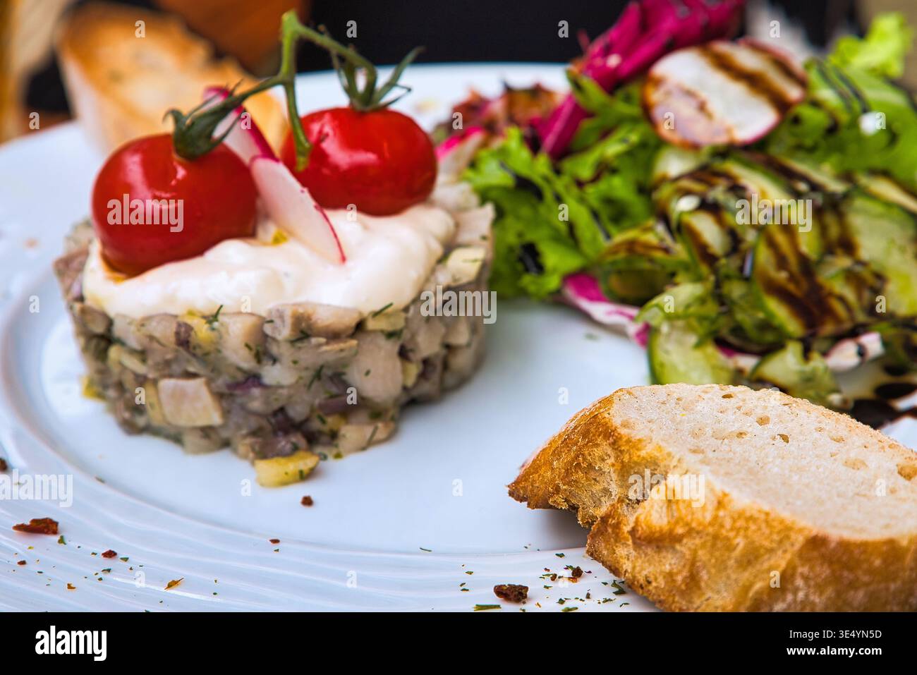 Gourmet-Vorspeise im Restaurant Herzoglicher Wartesaal in Heiligendamm mit Tatar, Wildkräutersalat und Baguette Stock Photo