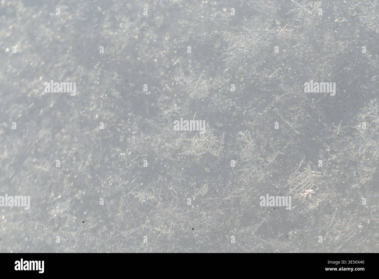 Snow in winter, macro texture. Snowflakes Stock Photo