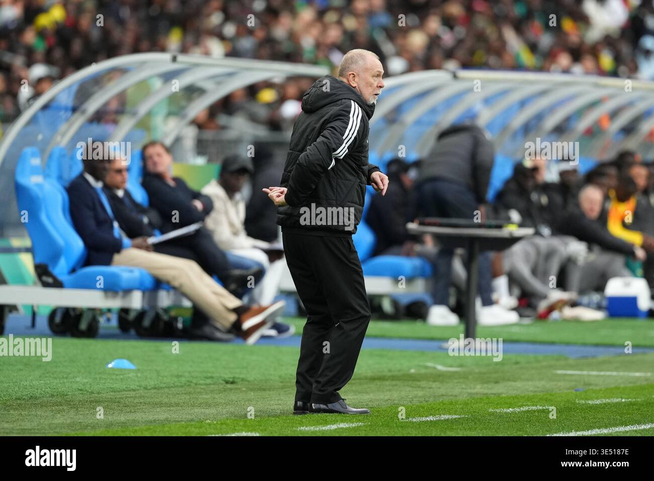 Peru head coach Mano Menezes during friendly match between Senegal and ...