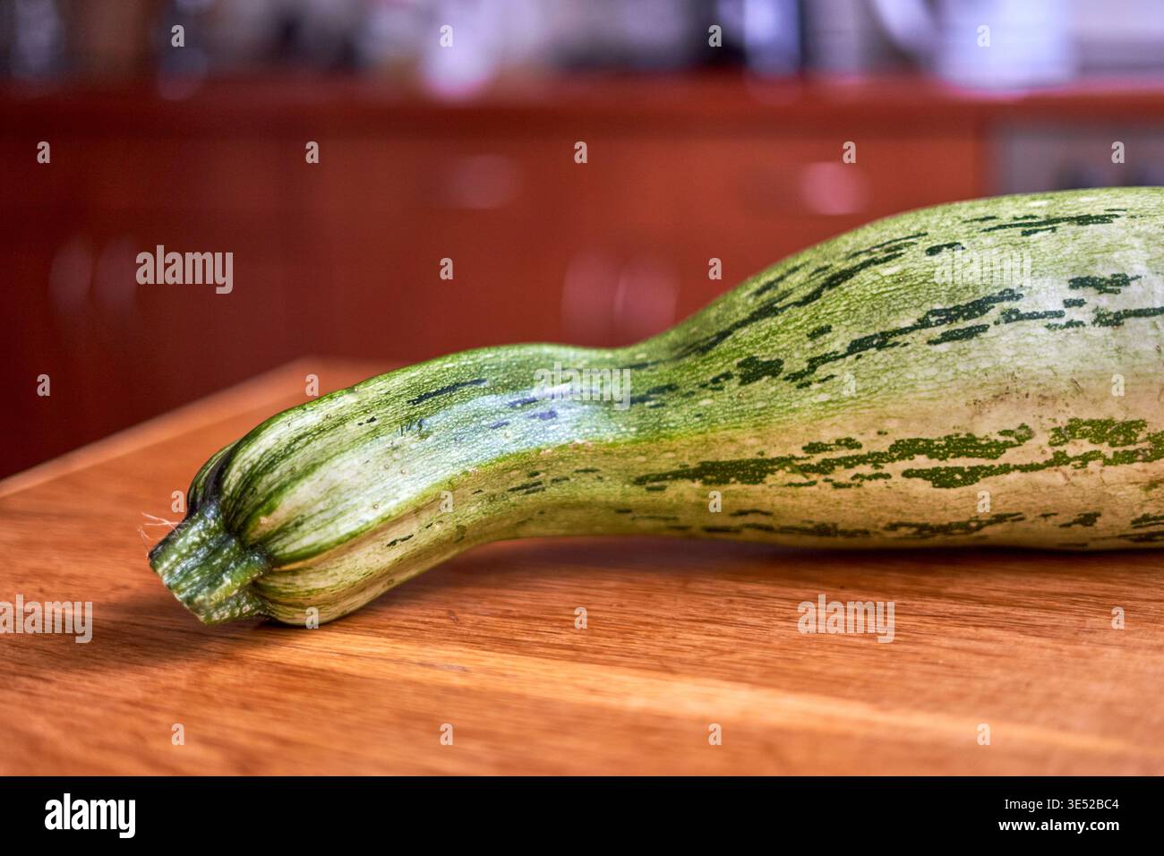 A close-up photograph of a fresh, elongated zucchini or marrow squash with distinctive green and white striping, resting on a wooden cutting board Stock Photo