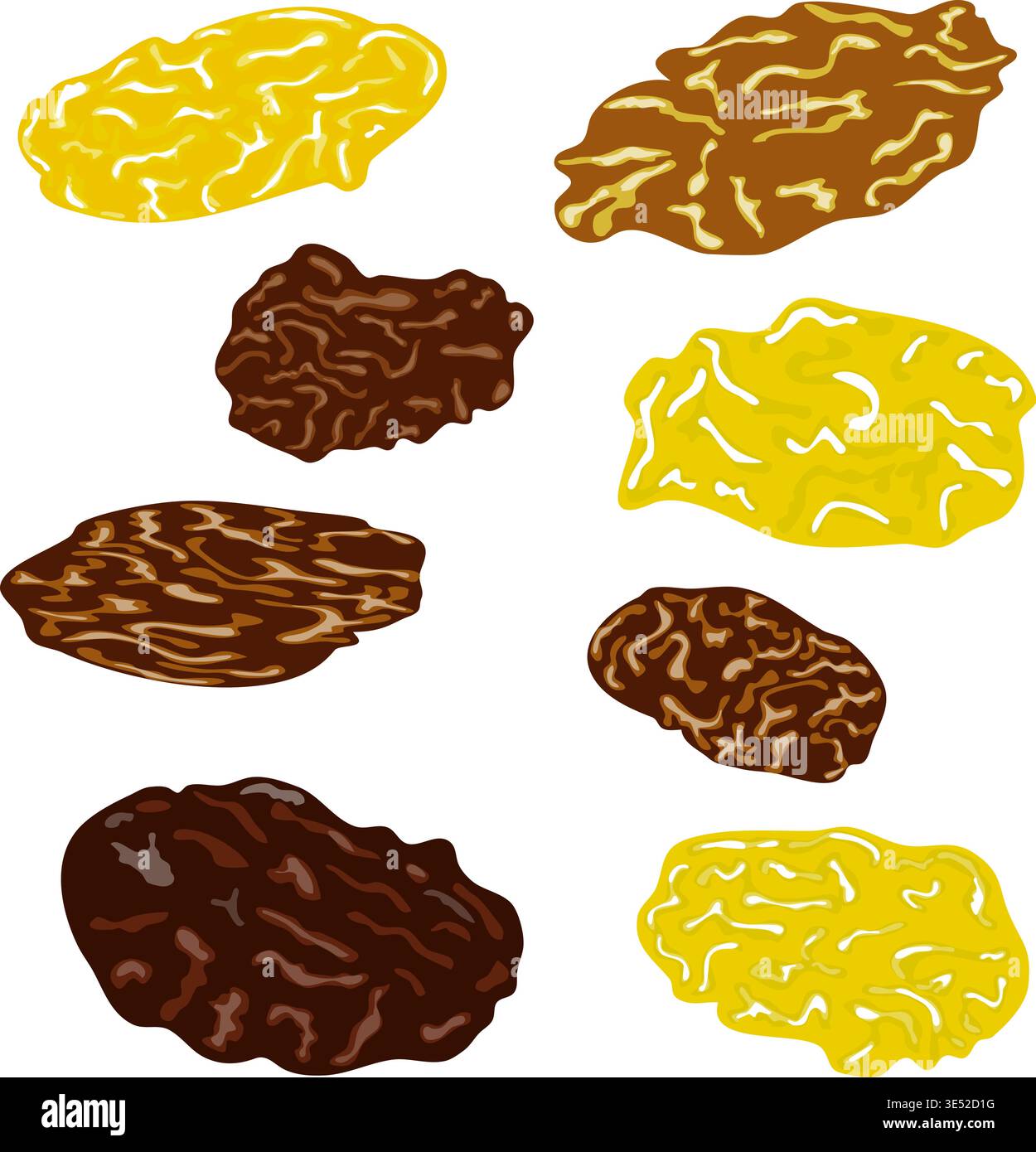 Raisins grapes vector hi-res stock photography and images - Alamy