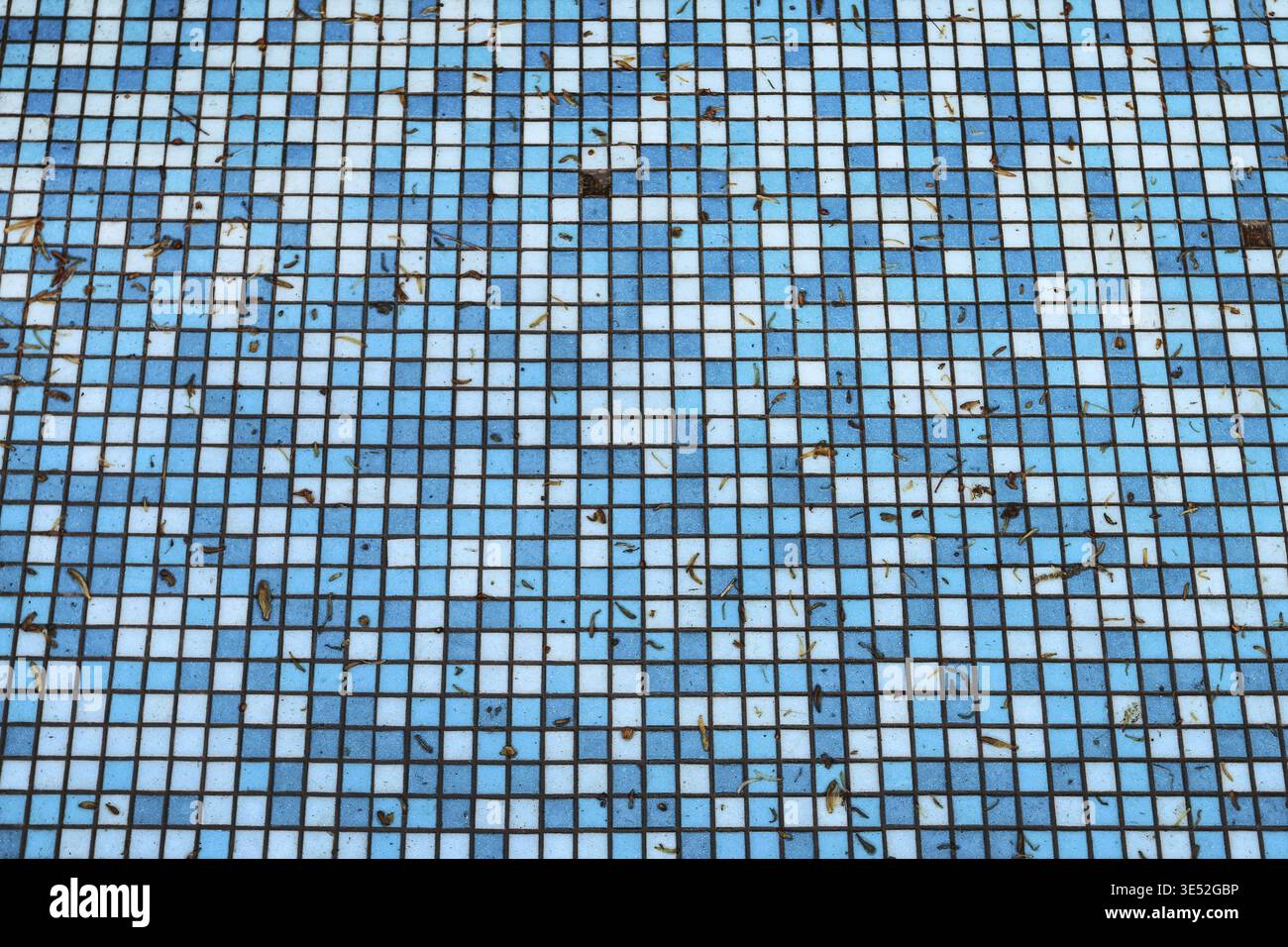 Abandoned swimming pool, classic pattern. Graphic resources Stock Photo