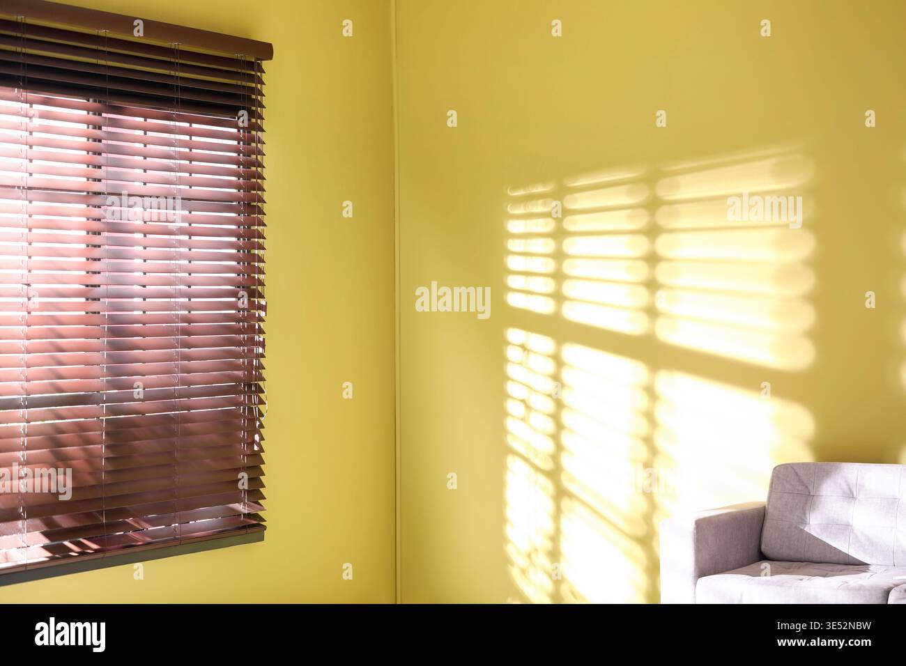 Light and shadows from window blinds falling on green wall Stock Photo
