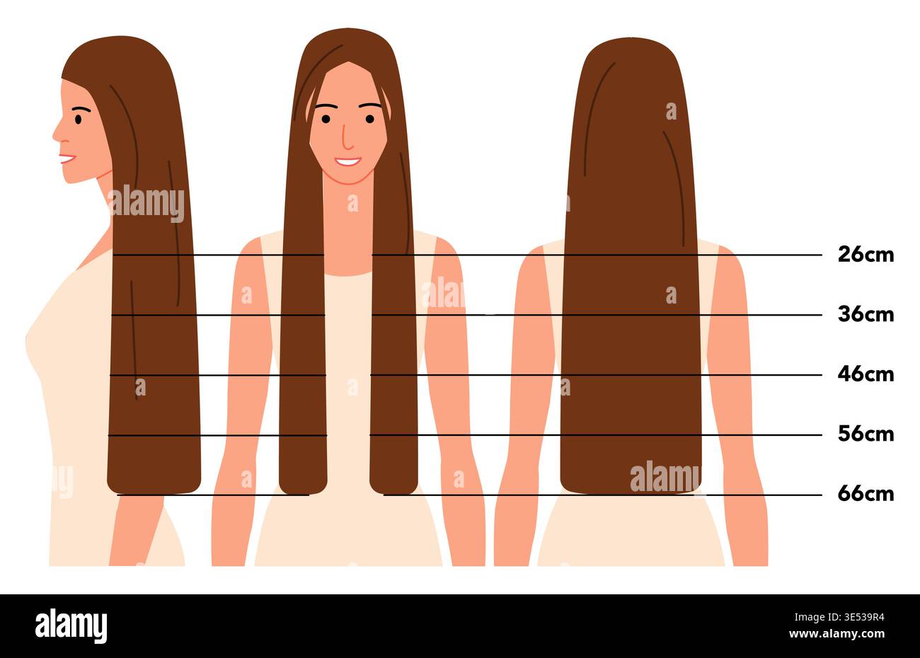 Flat color hair length guide with centimeter scale showing front, side ...