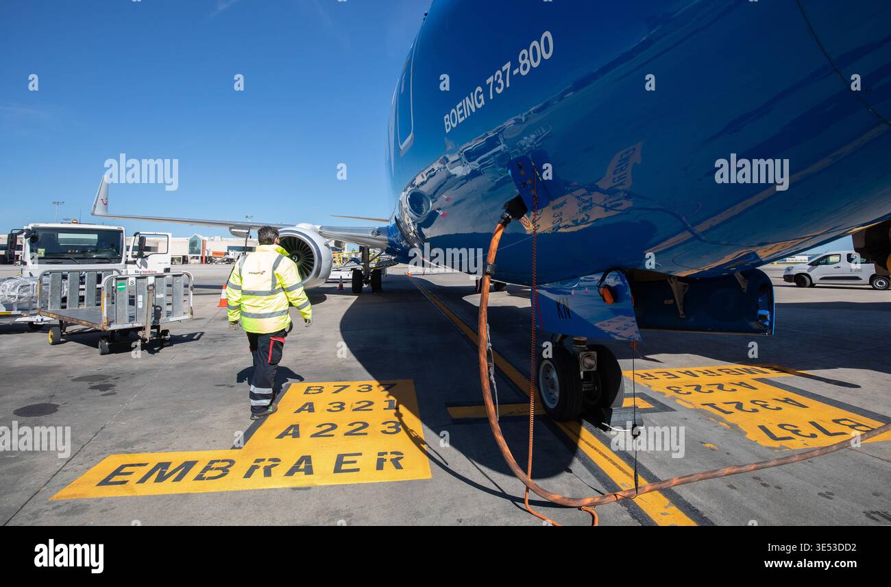 30 March 2026, Spain, Palma: Workers work on a Boeing 737 at Palma de ...
