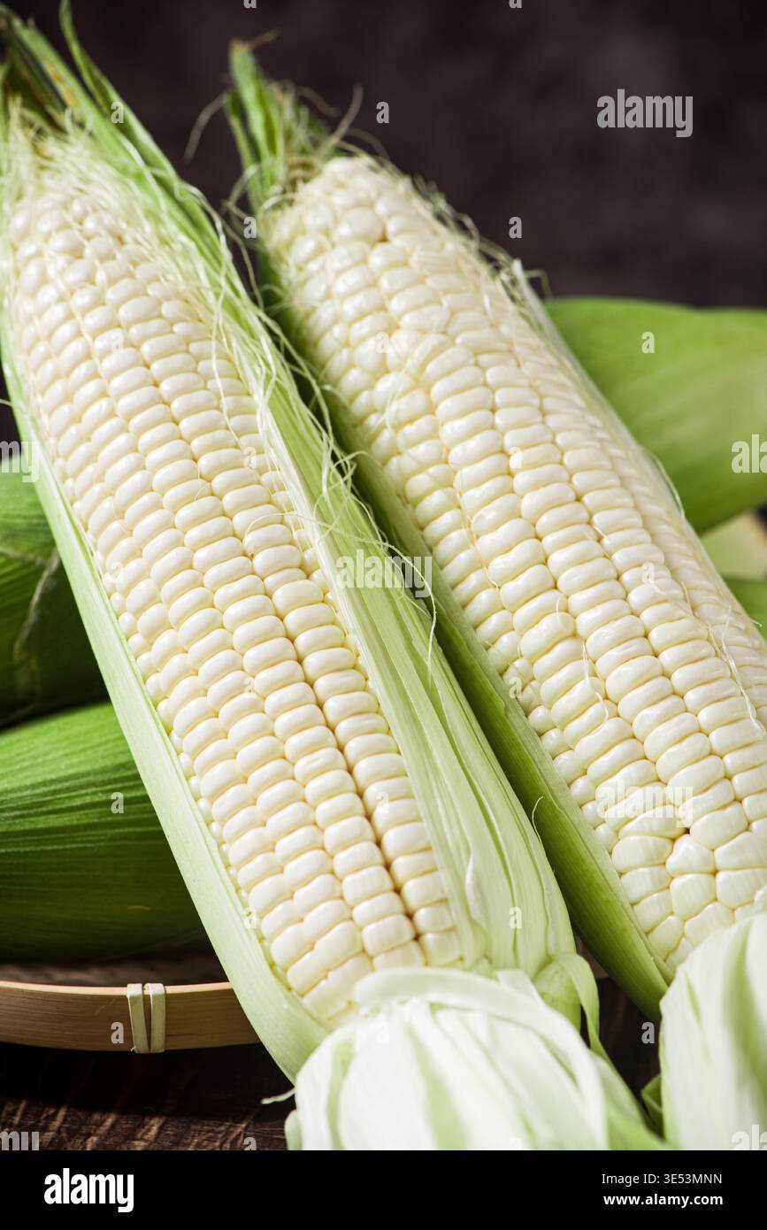 Fresh sweet corn ears presenting raw white kernels Stock Photo