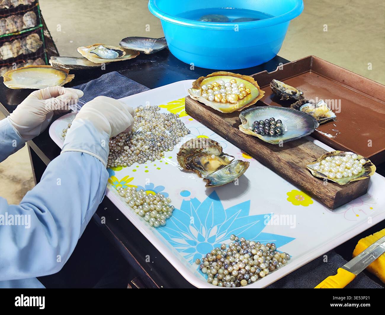 Grading and sorting hi-res stock photography and images - Alamy