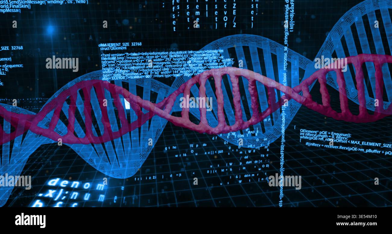 Displaying DNA double helix rotating horizontally over virtual grid plane, with glowing data nodes Stock Photo
