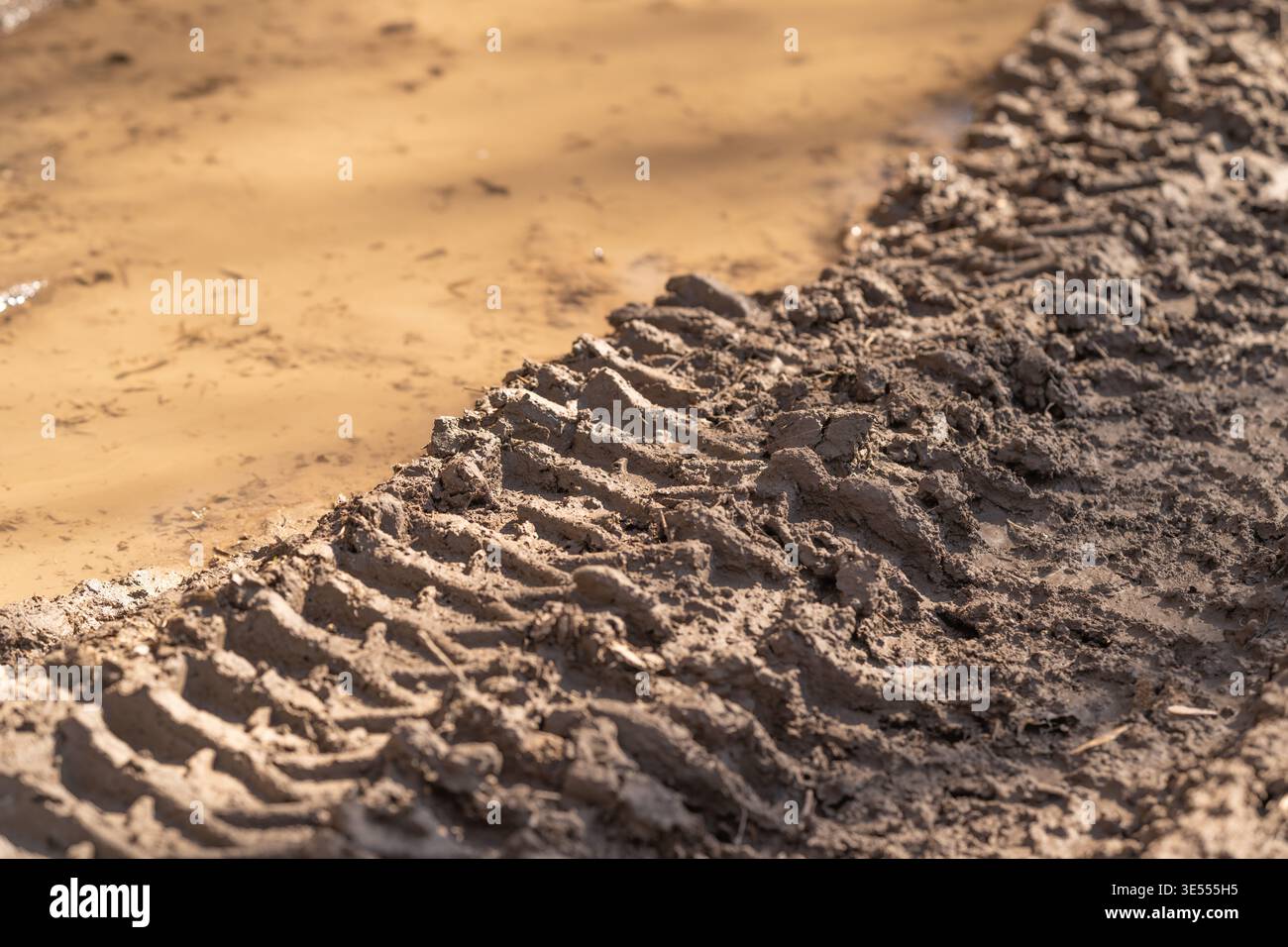 Heavy tire imprints crossing muddy construction lane, compacted gravel ...