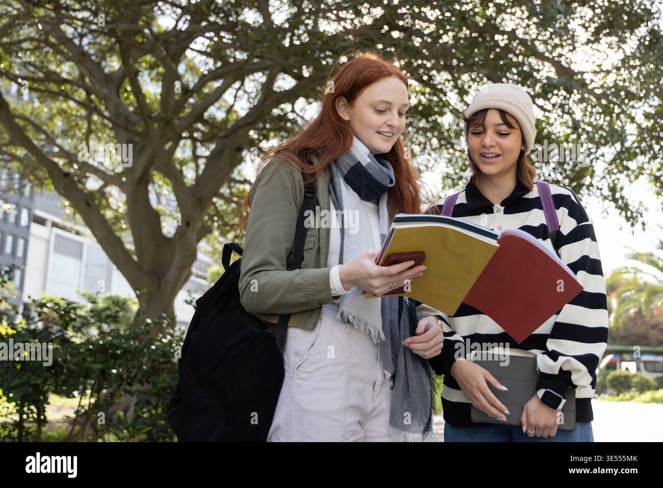 Female students standing under large tree on campus walkway, studying open notebook and gray binder Stock Photo