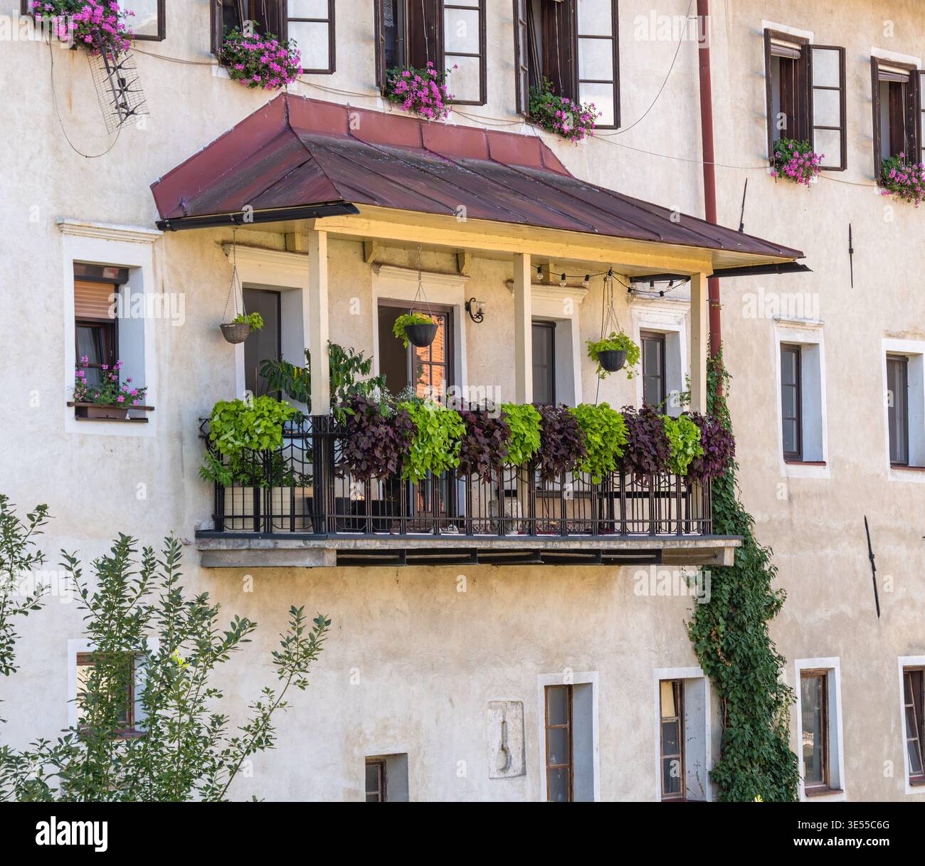 Ivy hanging baskets hi-res stock photography and images - Alamy