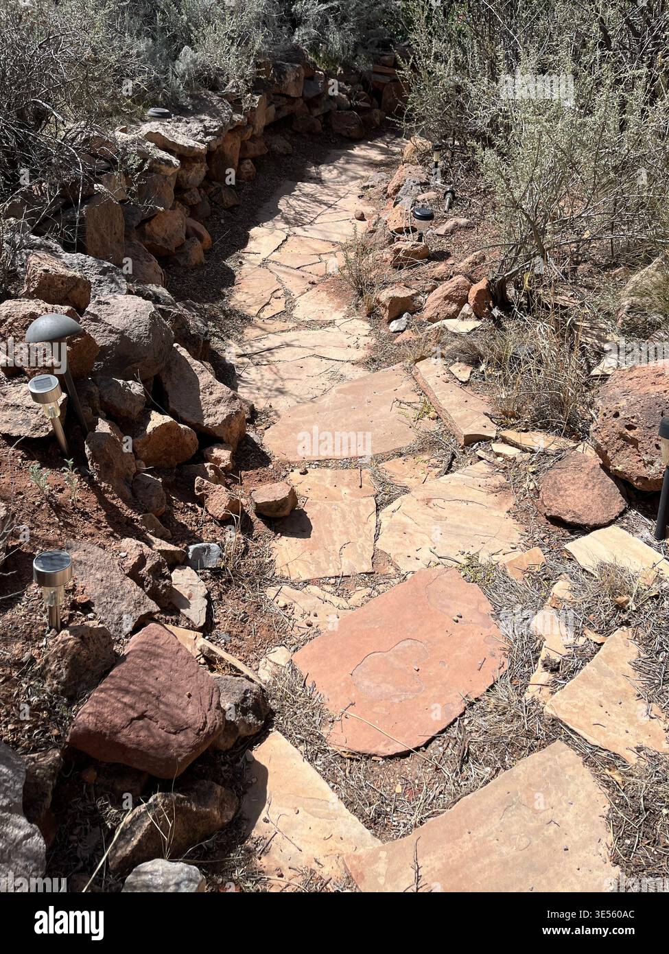 flagstone path with gravel surrounded by drought tolerant plant native to southwest USA - Smartphone Captured Stock Image