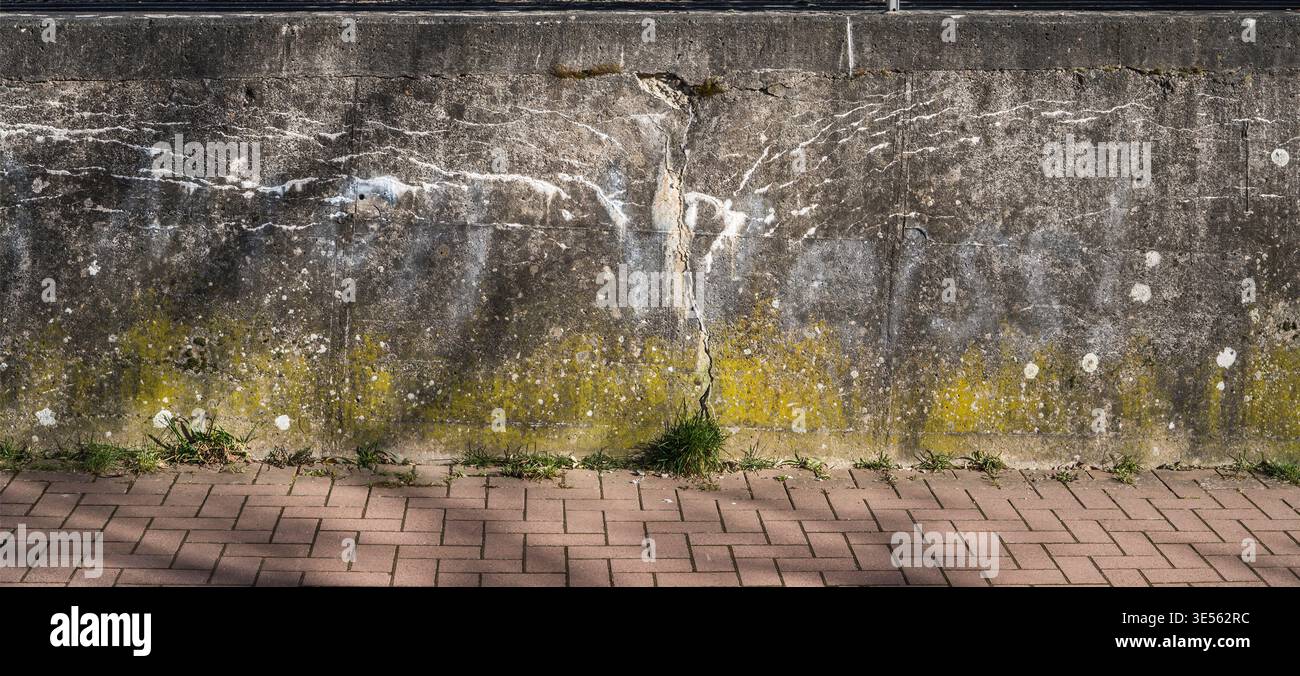 Old concrete wall with cracks, structures and green moss Stock Photo