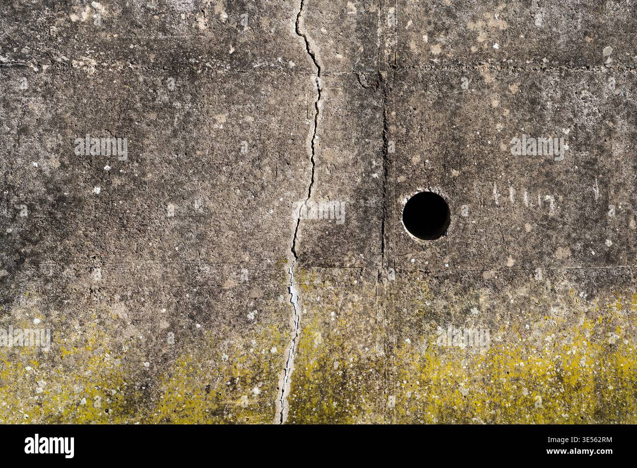 Old concrete wall with cracks, structures and green moss Stock Photo