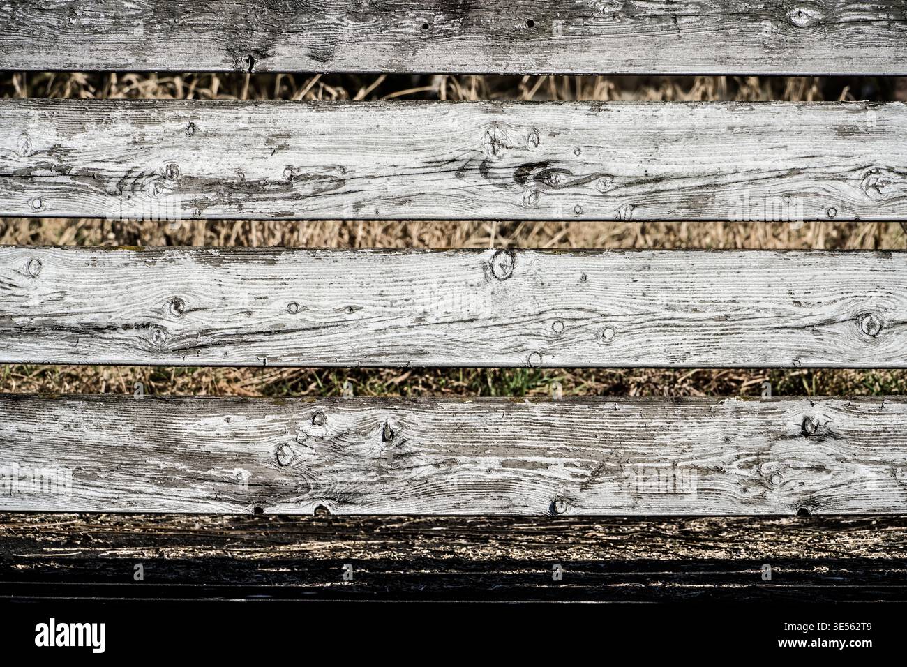 Old weathered white wooden fence Stock Photo
