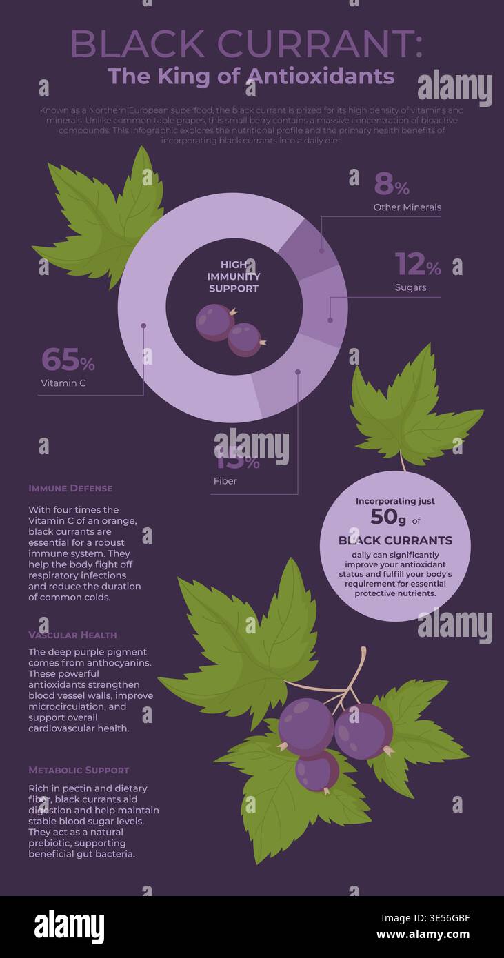 Black Currant Nutrition Facts Infographic. Healthy Berry Benefits on ...