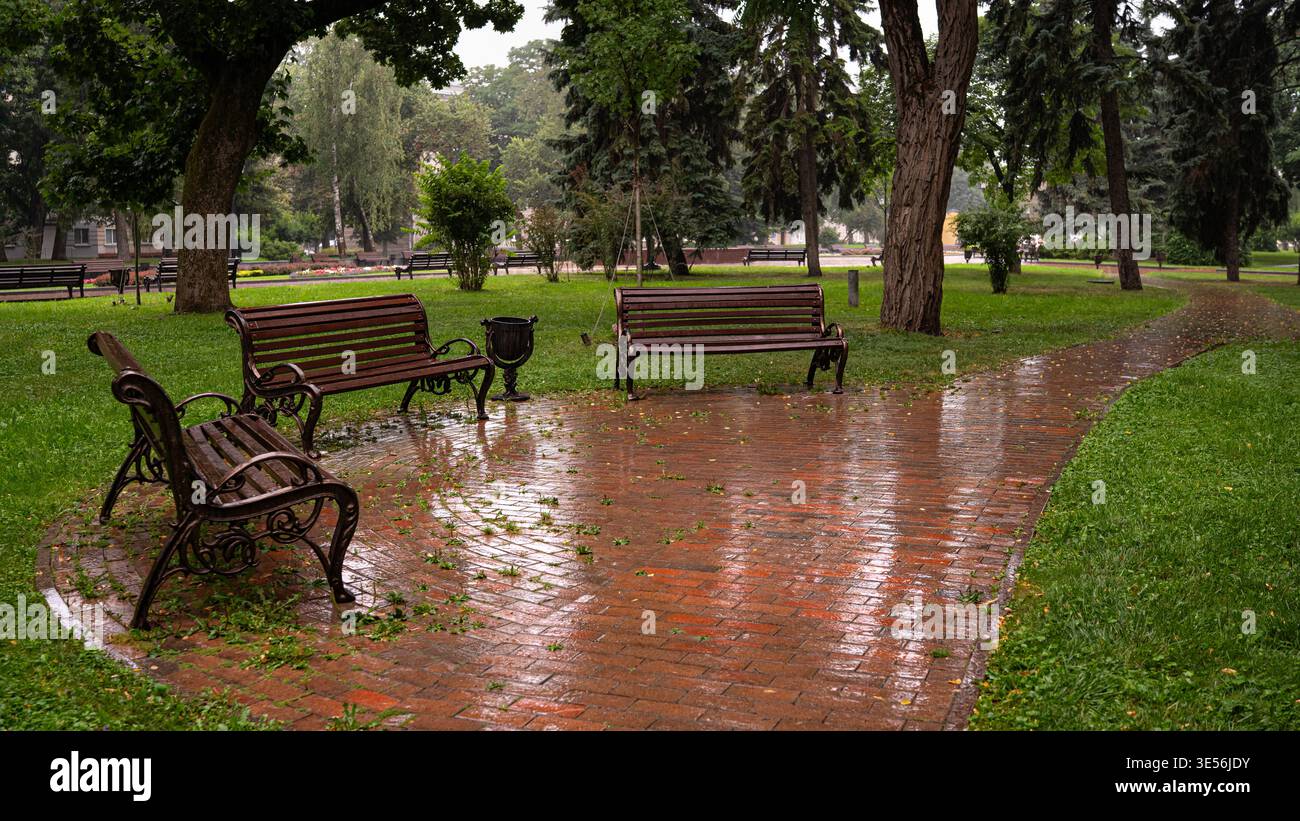 Empty Benches in City Park After Rain Stock Photo
