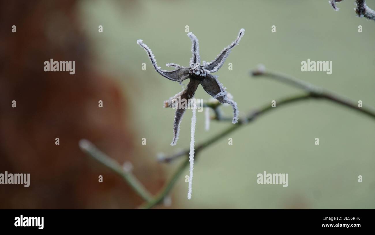 Eisige Ansichten Stock Photo