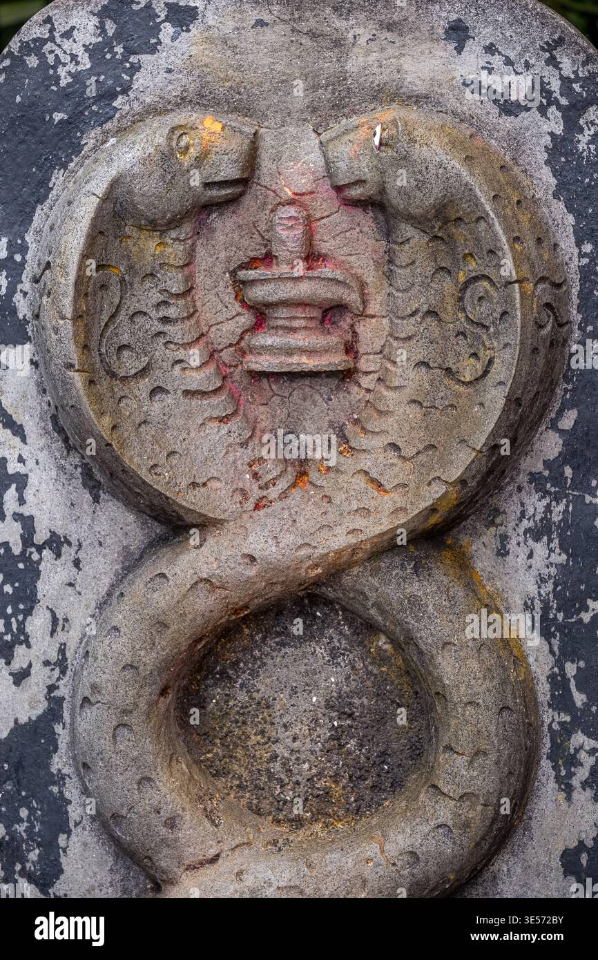 Shiva snake hi-res stock photography and images - Alamy