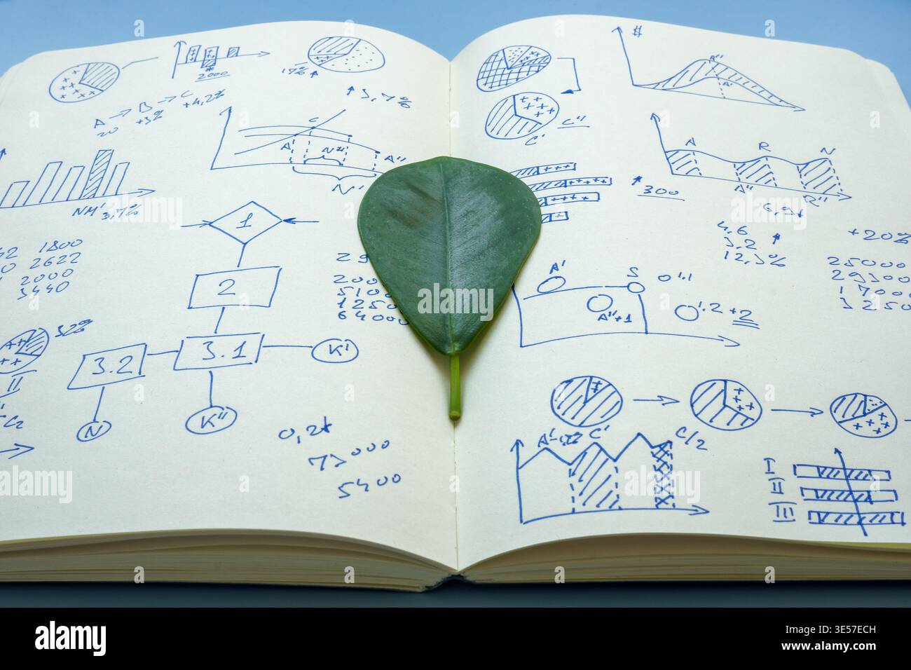 Responsible business sustainability concept with ecological data. Stock Photo