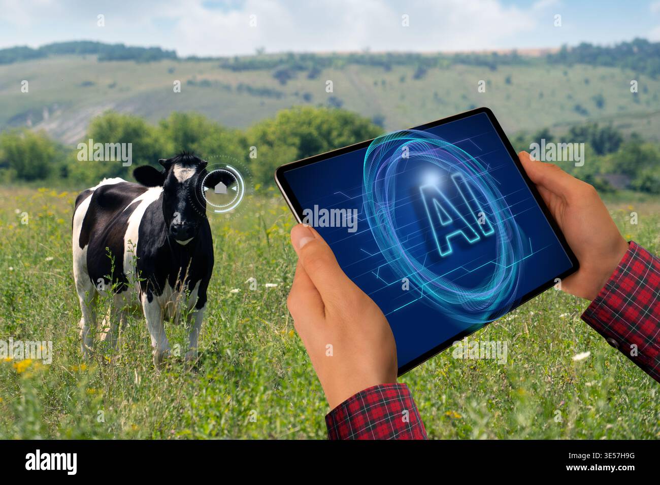 Using Artificial Intelligence for data analysing and herd management. Smart farming concept. Stock Photo