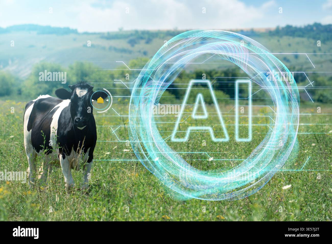 Using Artificial Intellingence for data analizing and herd management. Smart farming concept Stock Photo