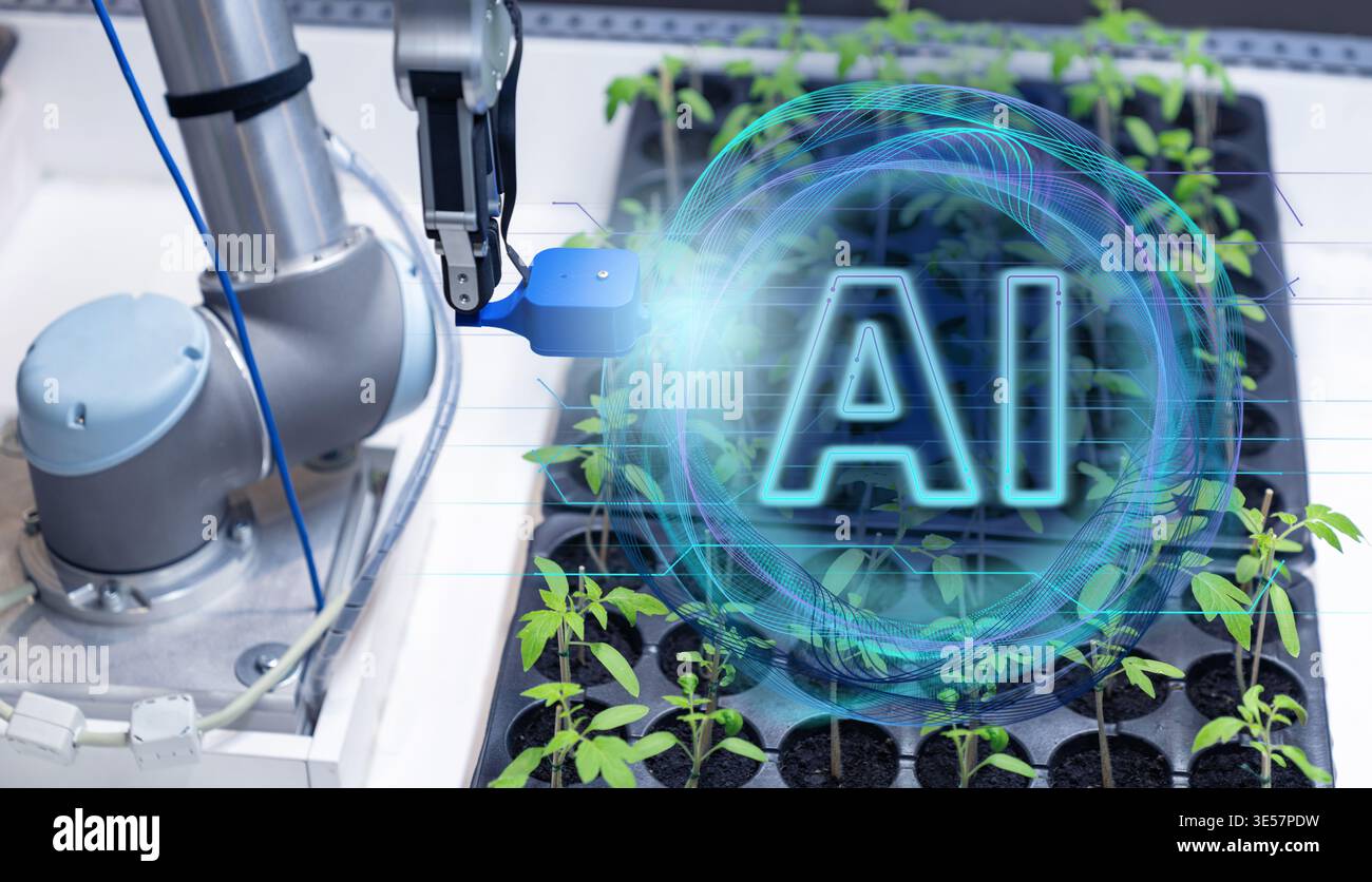 Using artificial intelligence in precision agriculture. Smart farming concept. Stock Photo
