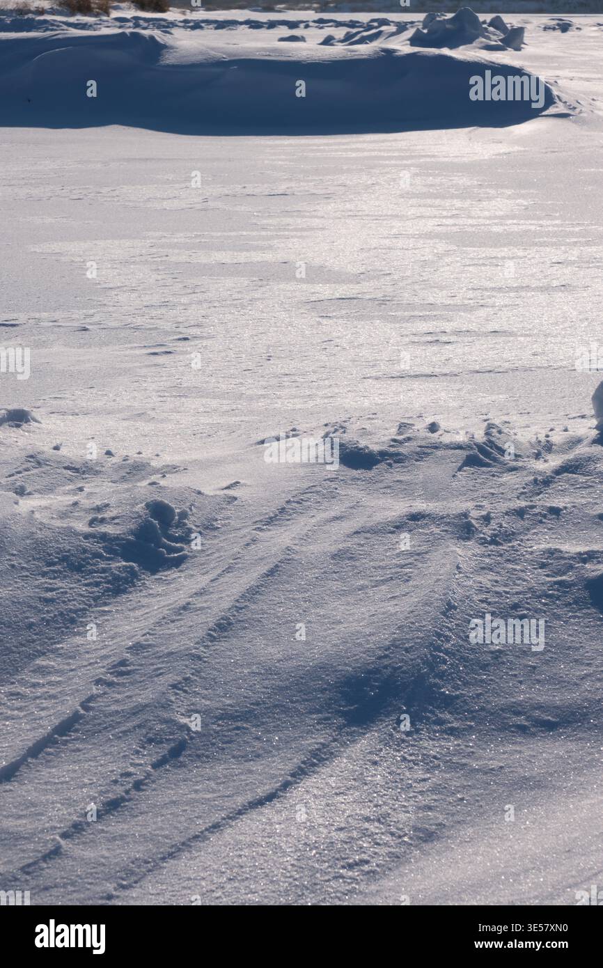 Vast winter field covered in fresh white snow with soft shadows and textured drifts under bright daylight Stock Photo