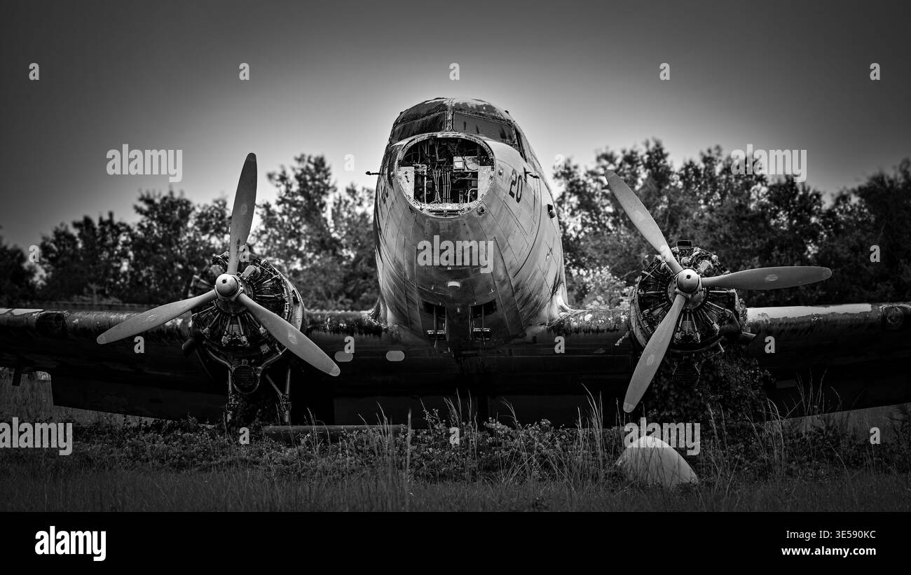 Plane behind Black and White Stock Photos & Images - Alamy