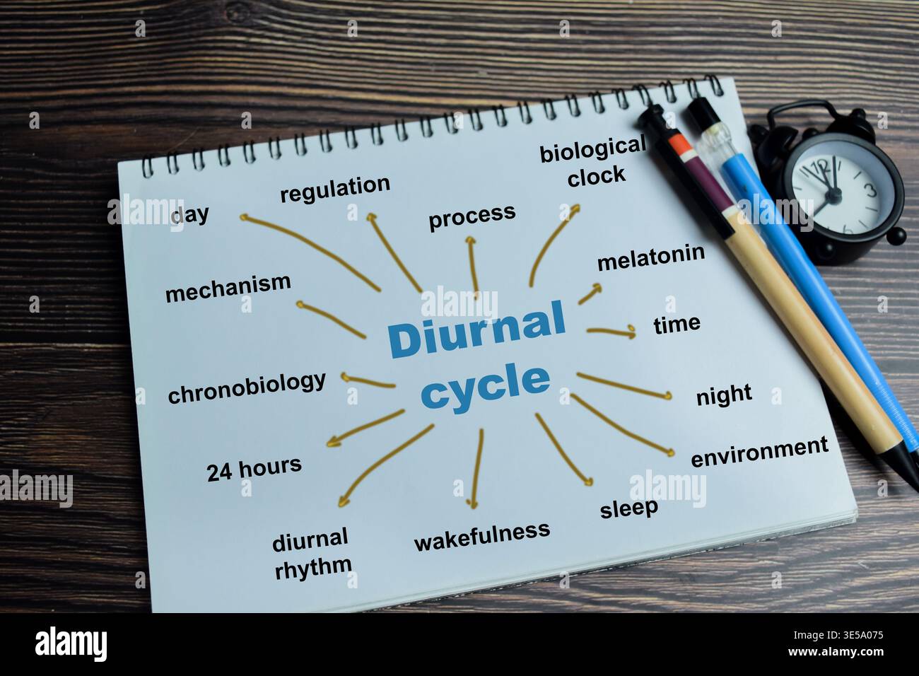 Day and night cycle diagram hi-res stock photography and images - Alamy