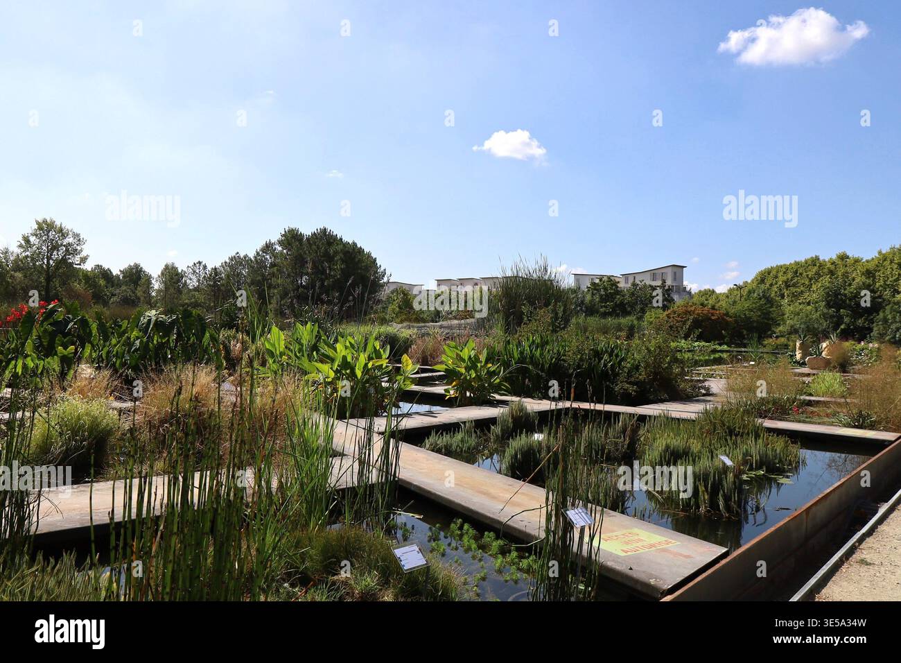 The Botanical Garden of Bordeaux, Bordeaux, Gironde, France Stock Photo