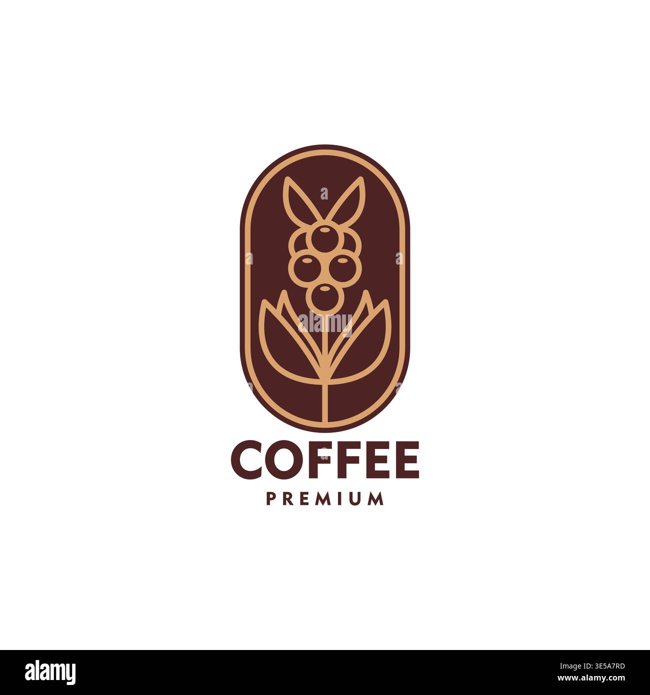Coffee bean icon with oval brown badge frame Stock Vector
