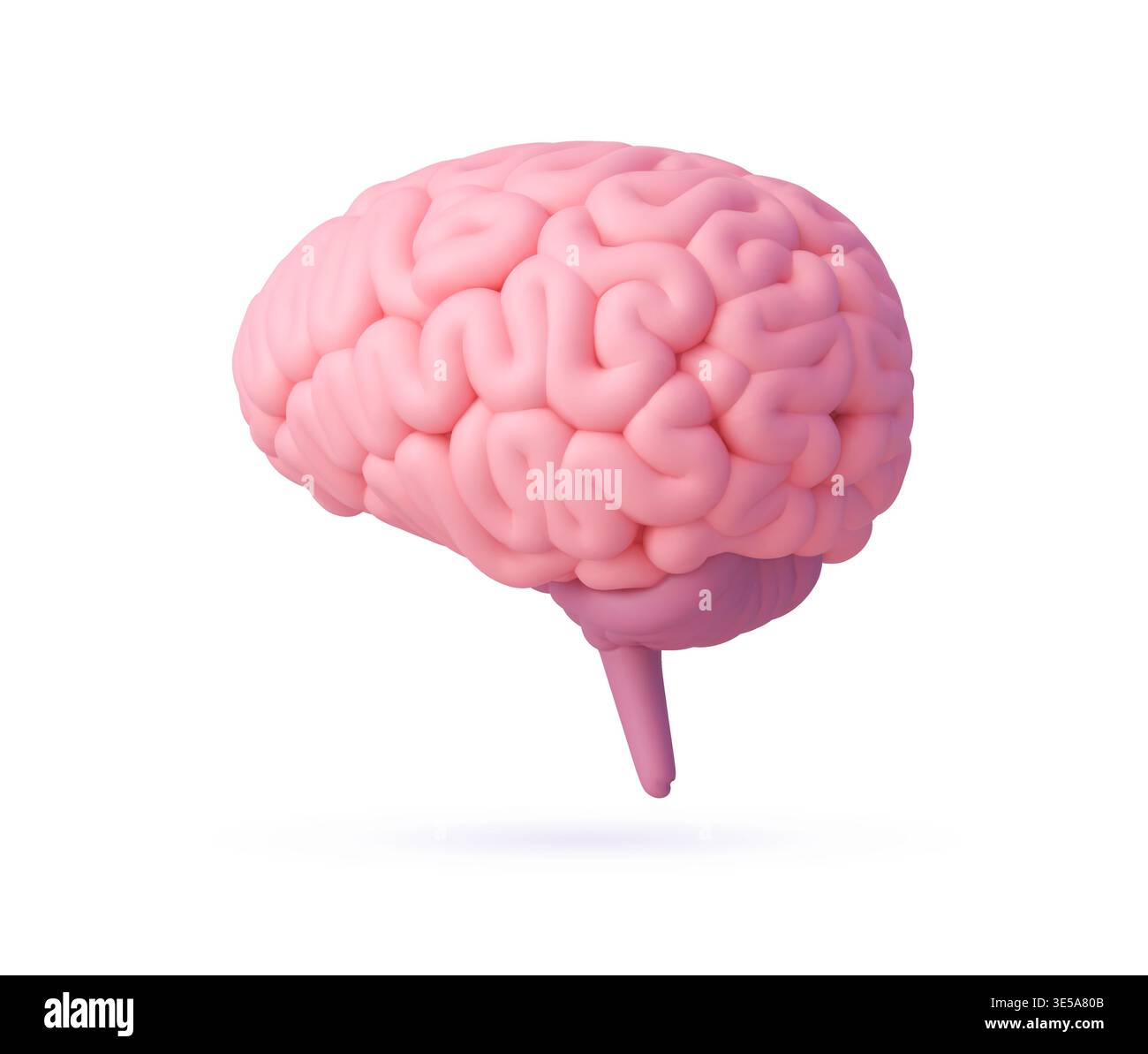 3d human brain rendered on clean white background Stock Vector