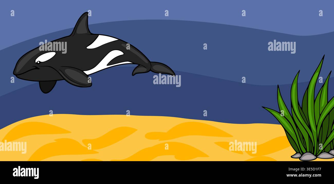 Cute Orca Killer Whale Swimming in Underwater Ocean Vector Banner Stock ...