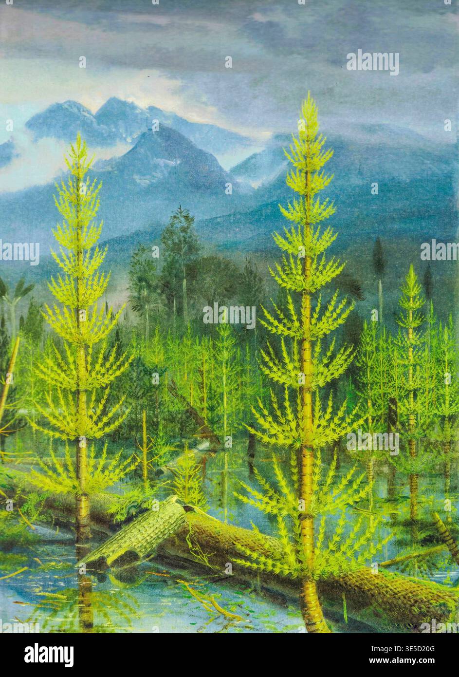 The Carboniferous. Prehistoric swamp landscape with towering horsetail  plants and distant misty mountains. A vibrant prehistoric swamp scene  unfolds with lush green horsetail plants dominating the foreground, set  against a backdrop of