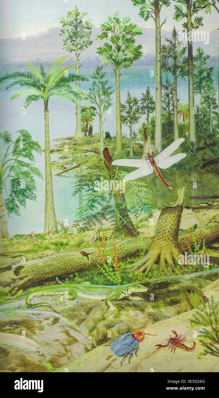 Teeming Insects Fauna carboniferous swamp prehistoric hi-res stock photography and ...
