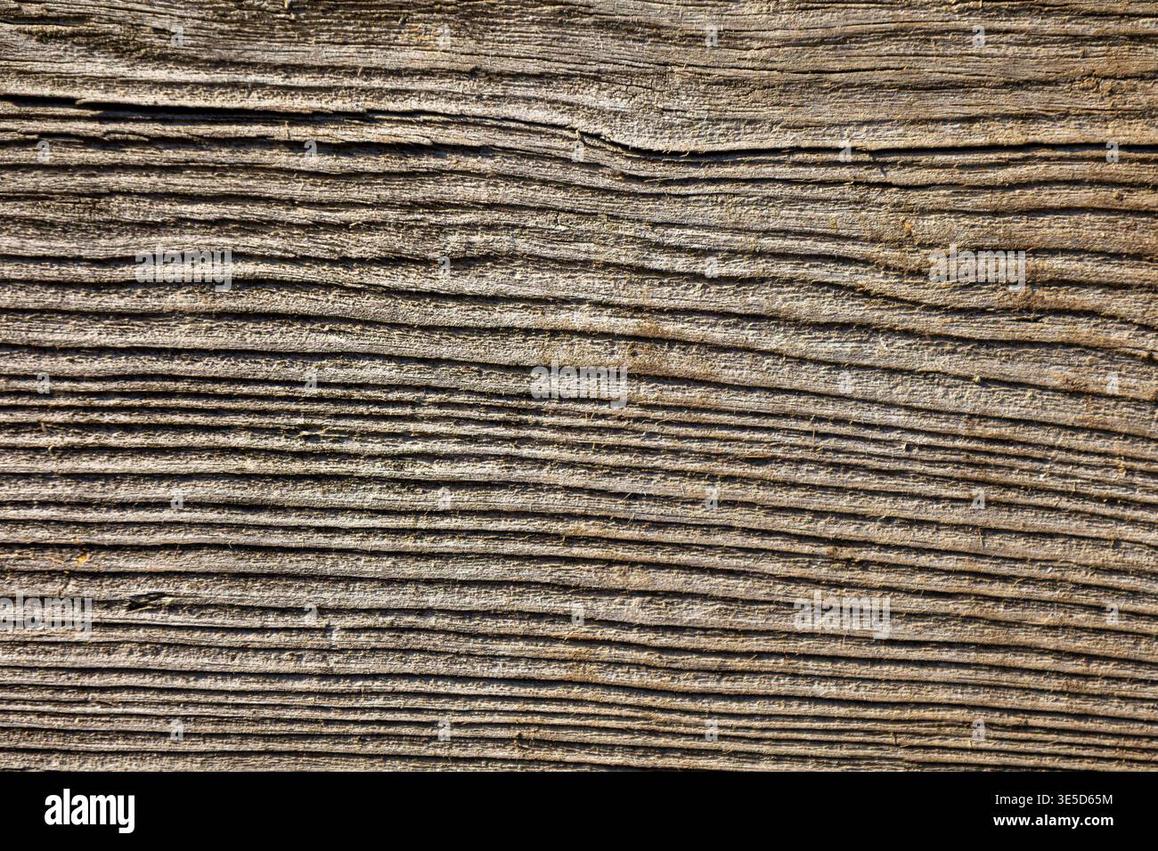 Wood Ridges Texture Showcasing natural ridges hi-res stock photography and images - Alamy