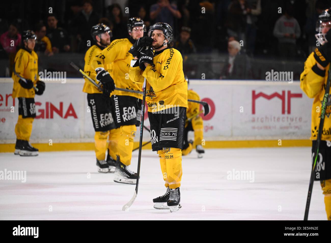 Roy Pier-Olivier of Dragons de Rouen during the Synerglace Ligue Magnus ...