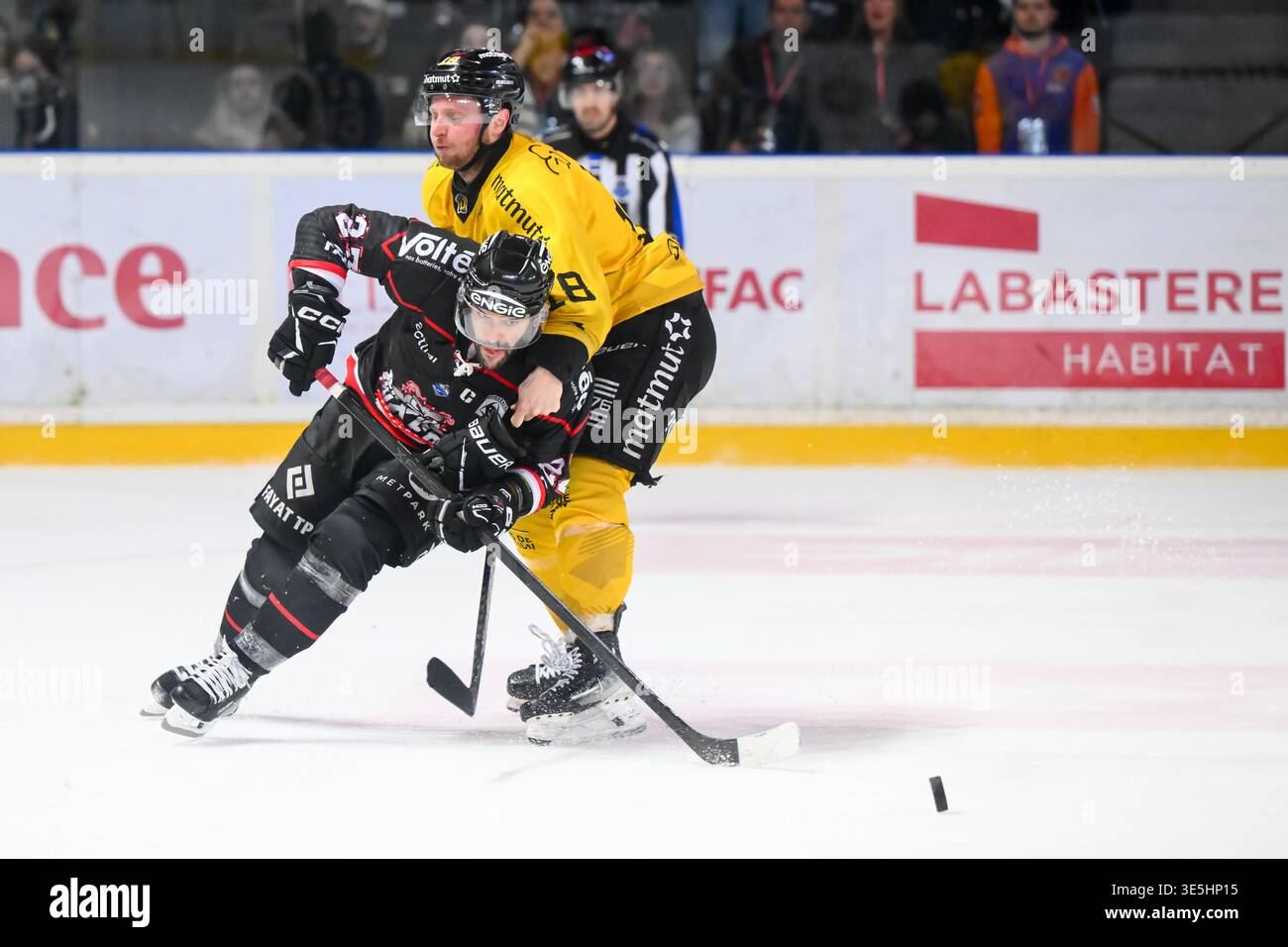 Loik Poudrier of Boxers de Bordeaux and Rech Anthony of Dragons de ...