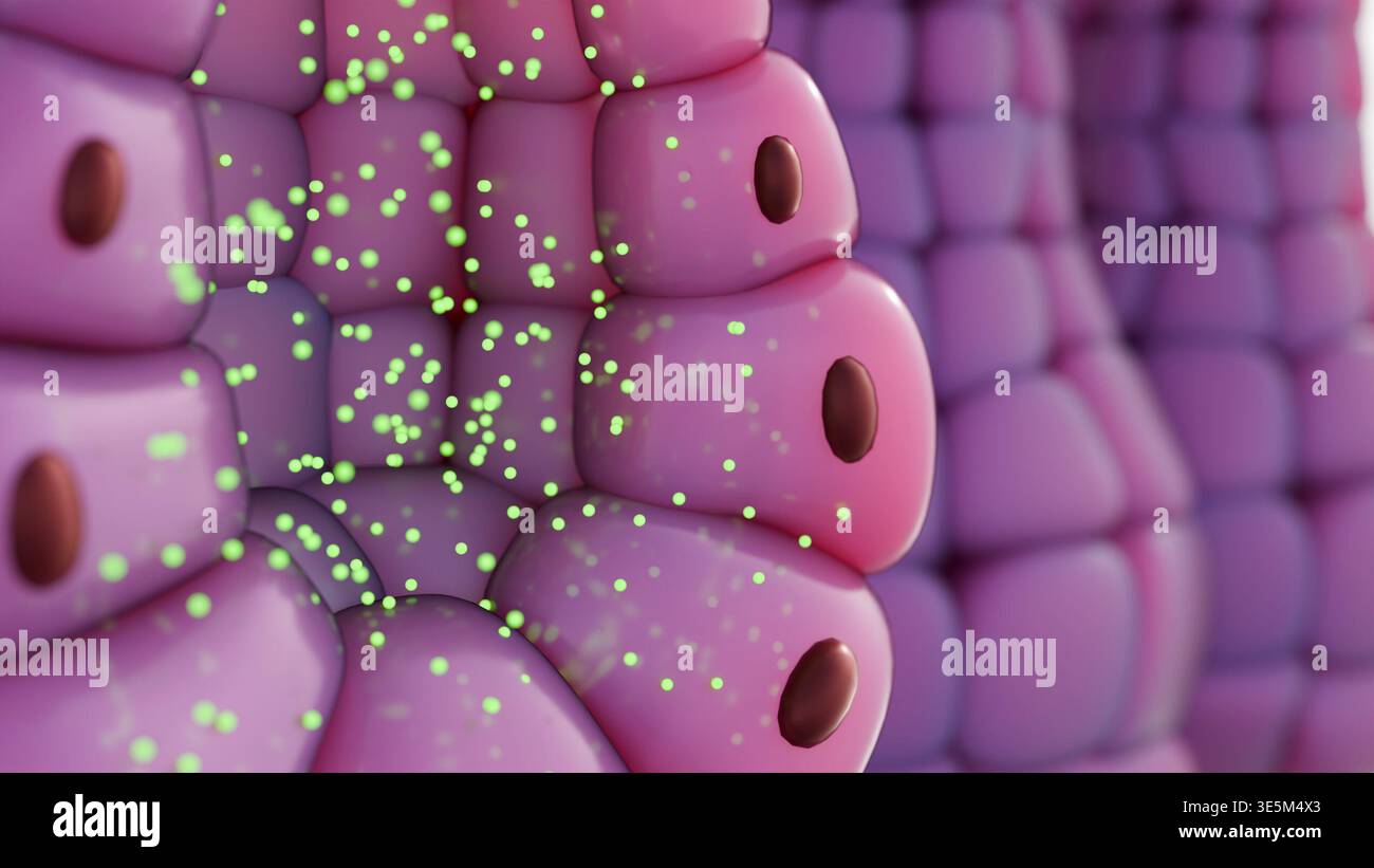 3D Merocrine Secretion: A Goblet Cell Releasing Secretory Granules via ...