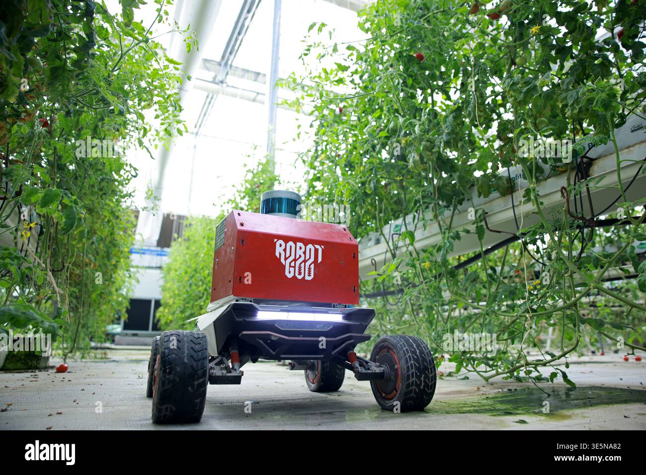 An all-scenario data collection robot monitors the crop growth ...